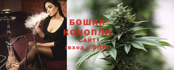 амф Гусь-Хрустальный