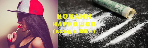 2c-b Гусев