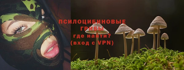 амф Гусь-Хрустальный