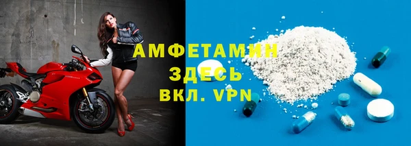 амф Гусь-Хрустальный