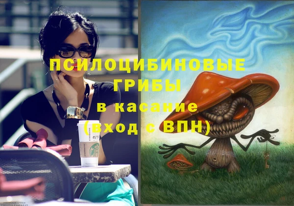 амф Гусь-Хрустальный