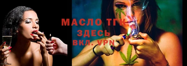 амф Гусь-Хрустальный