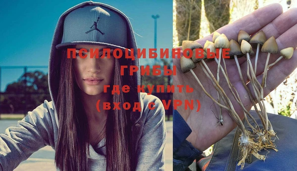 ПСИЛОЦИБИНОВЫЕ ГРИБЫ Болхов