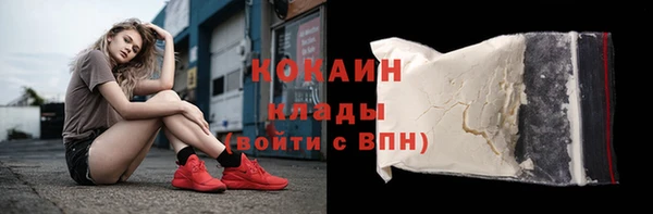 2c-b Гусев