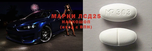 гашик Болотное