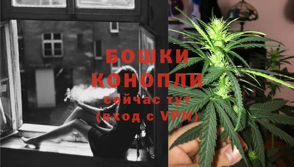 амф Гусь-Хрустальный