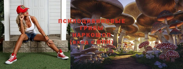 2c-b Гусев