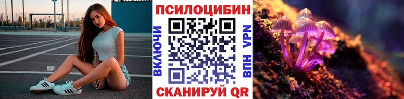 где найти   Елабуга  Псилоцибиновые грибы мицелий 