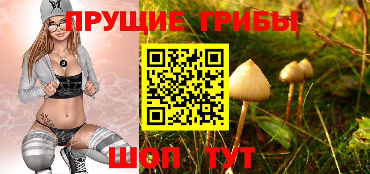 Елабуга  Псилоцибиновые грибы Psilocybe  Вход с VPN 