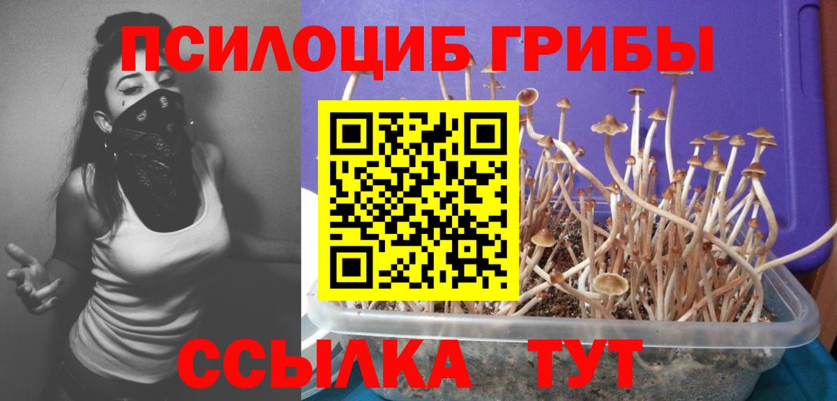 Псилоцибиновые грибы GOLDEN TEACHER Елабуга